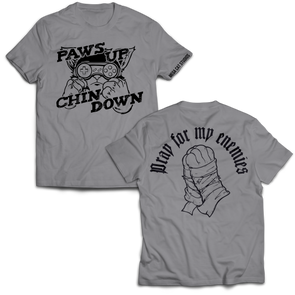 Paws Up, Chin Down Soft-Fit Tee